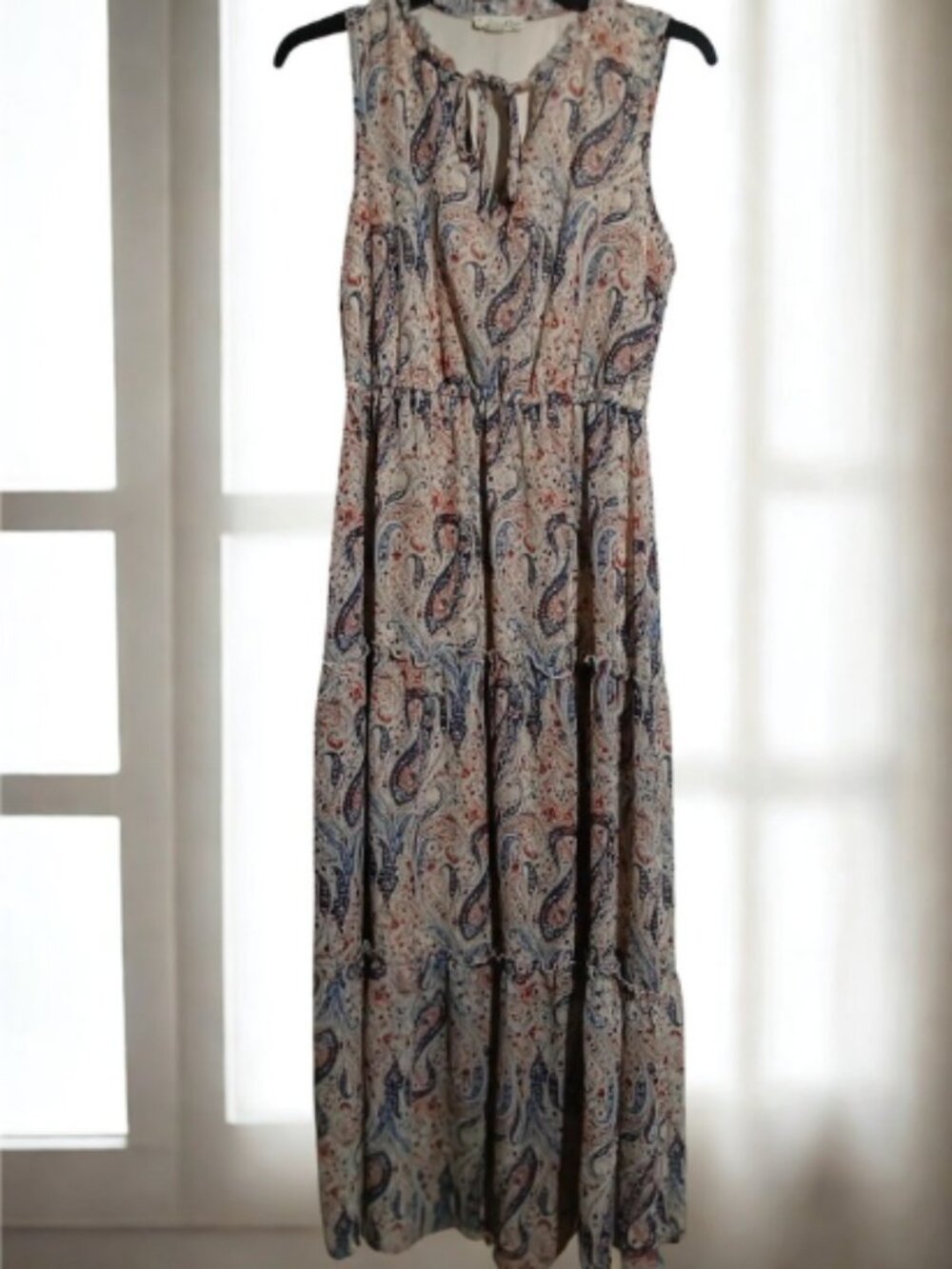 Blue & Red Sleeveless Paisley Dress